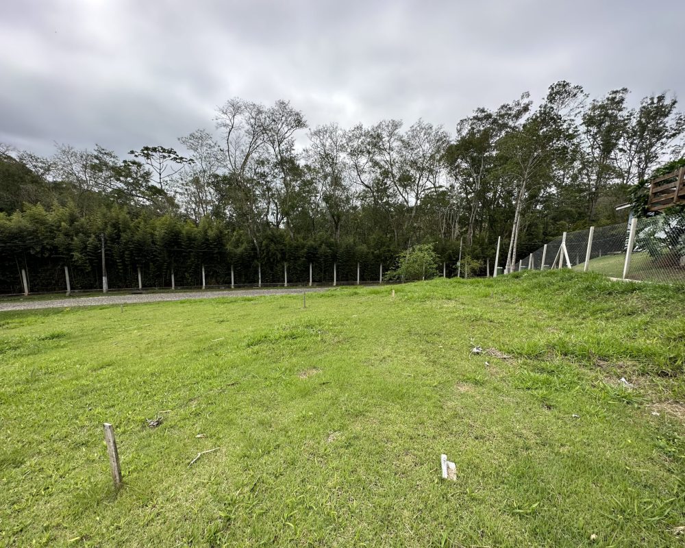 20231003_141043424_iOS