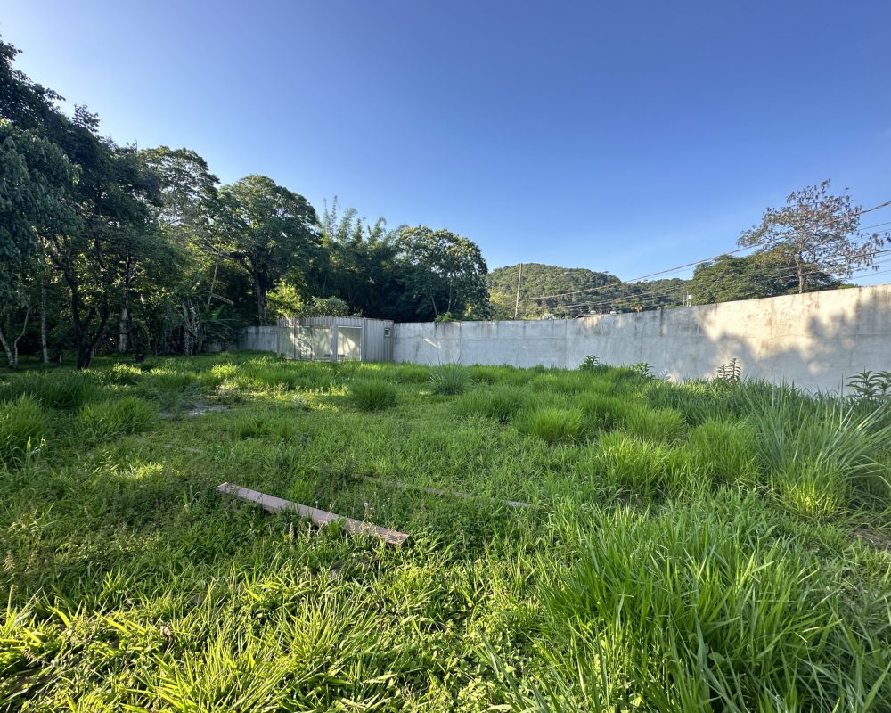 20231023_193930941_iOS