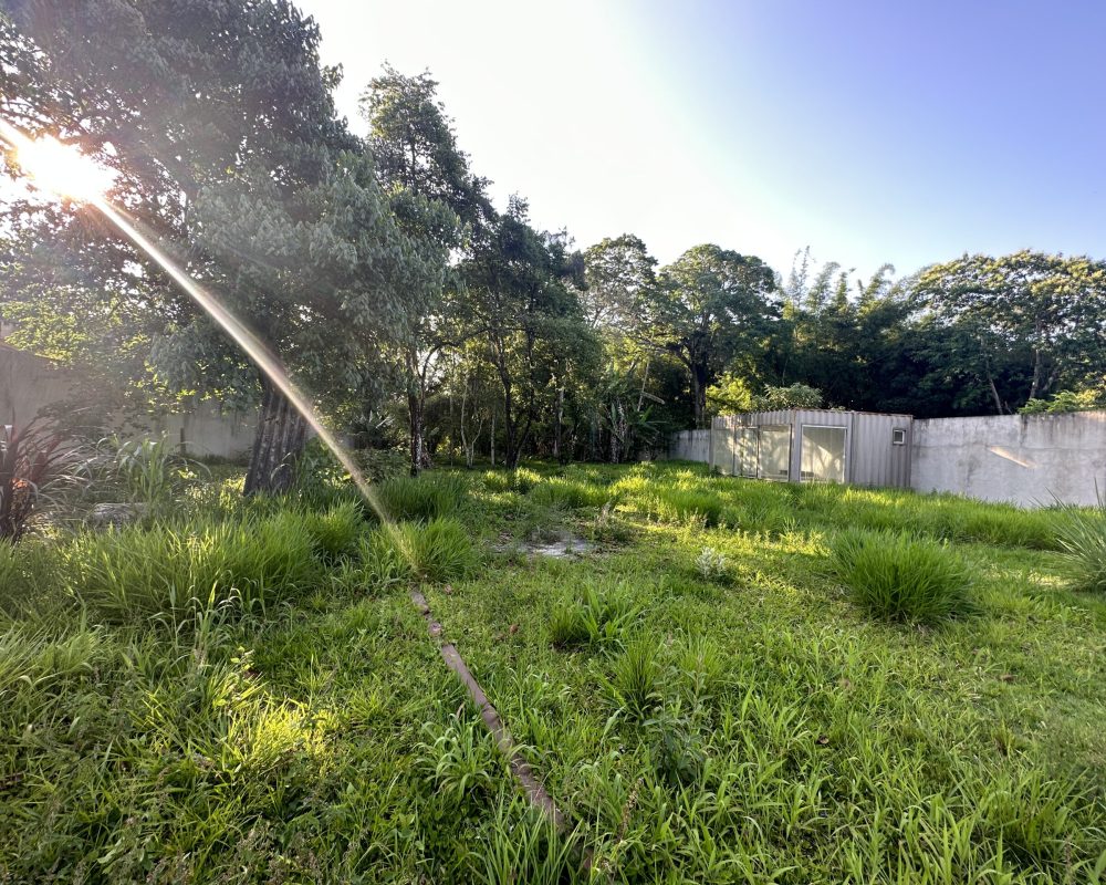 20231023_193942653_iOS