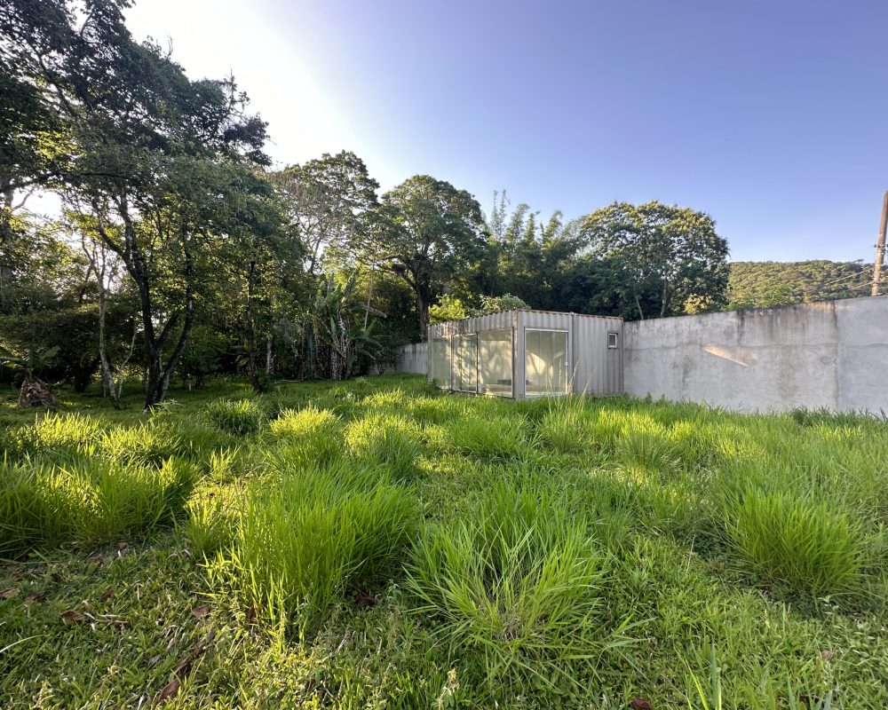 20231023_193956621_iOS