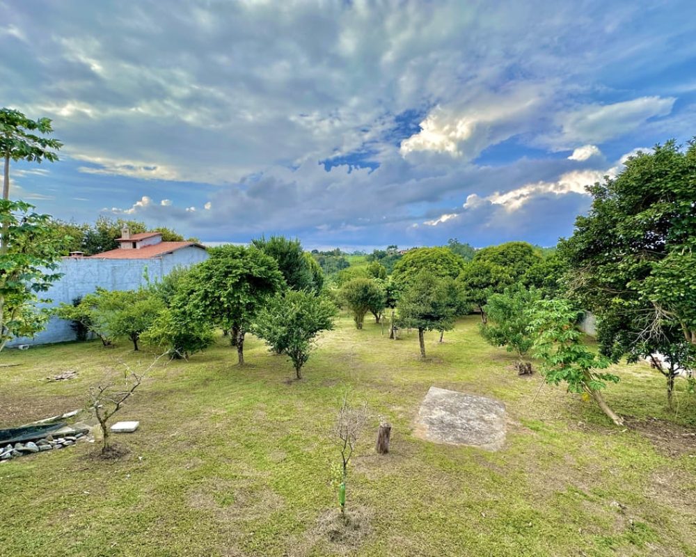 ChÂ cara_Maracatu_1.2M20230406_185753134_iOS