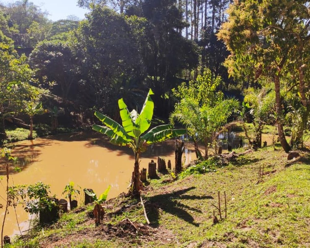 Chácara_Guararema_Parque_Agrinco (18)