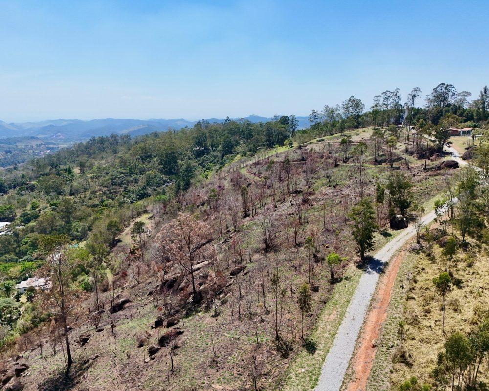 Drone DJI 4 Mini Pro (1)