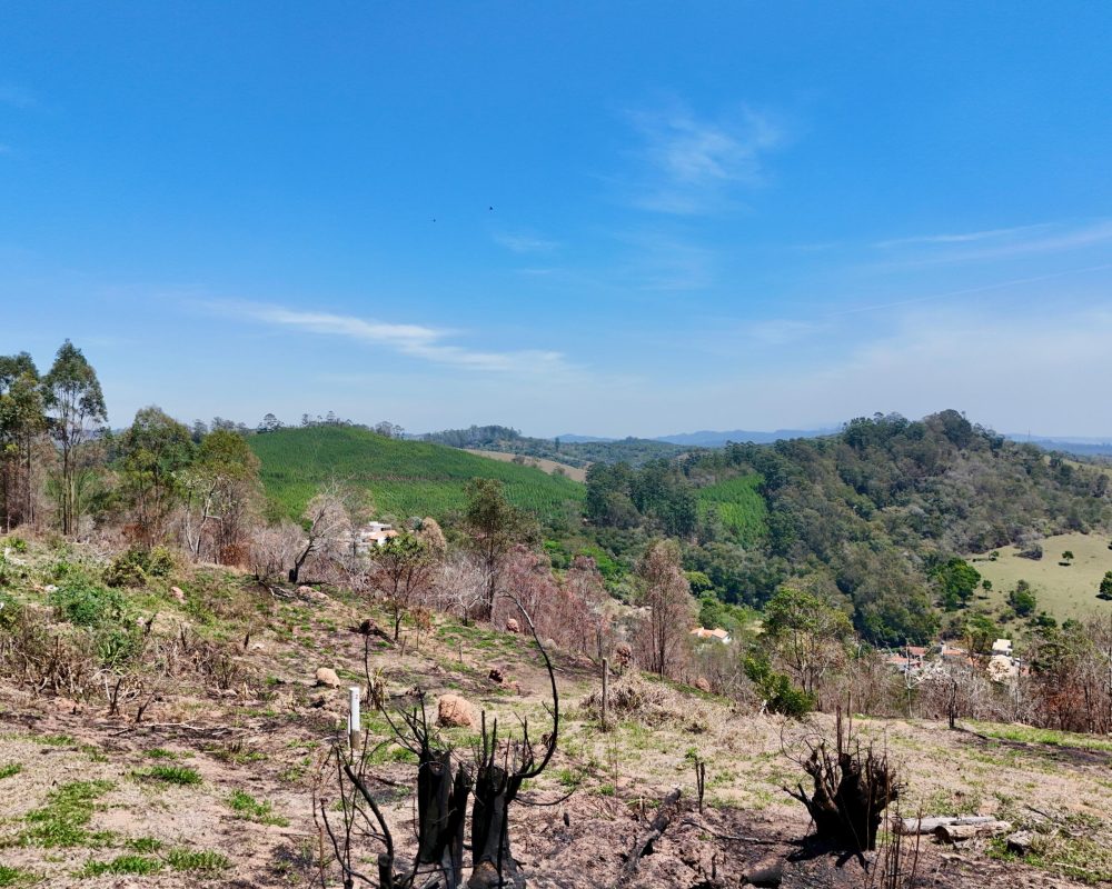 Drone DJI 4 Mini Pro (2)