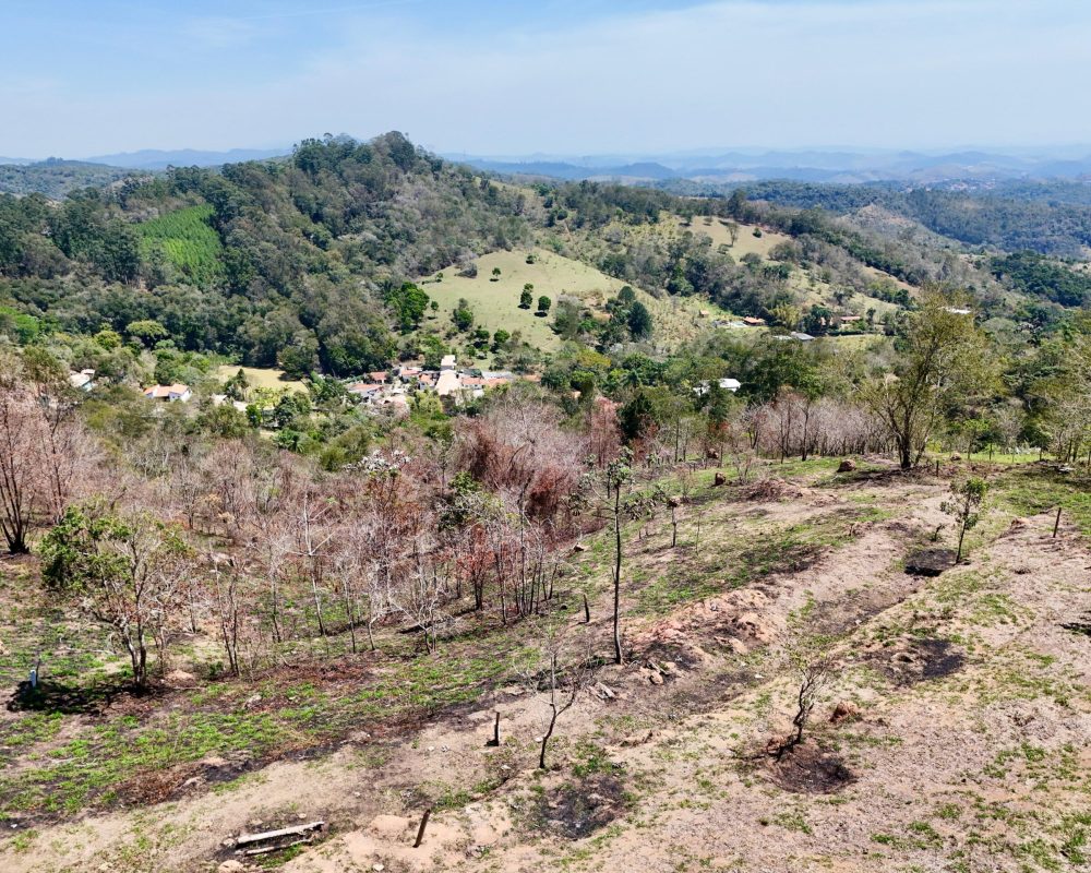 Drone DJI 4 Mini Pro (3)