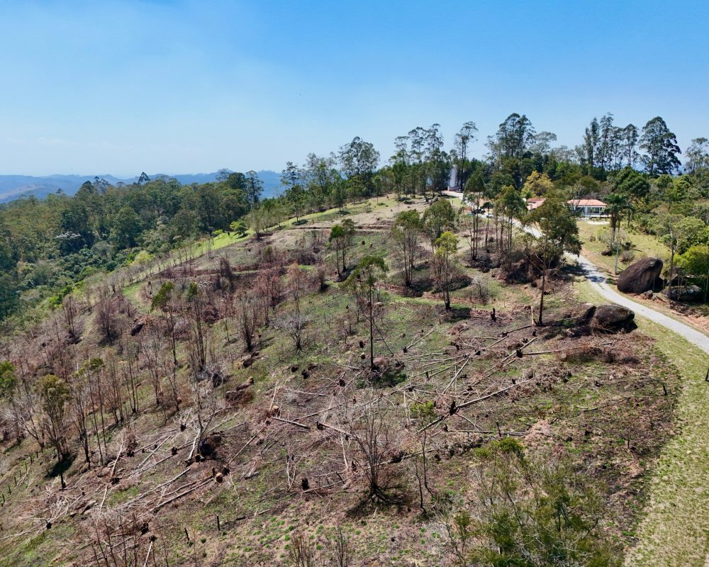 Drone DJI 4 Mini Pro (6)