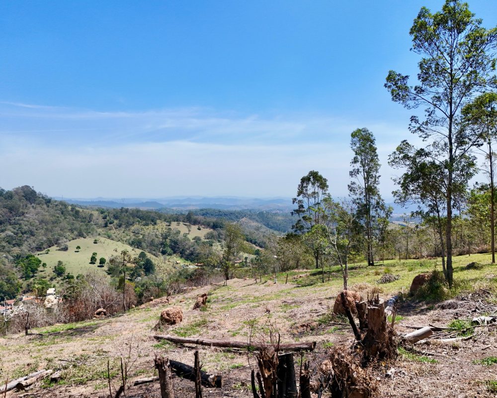 Drone DJI 4 Mini Pro (8)