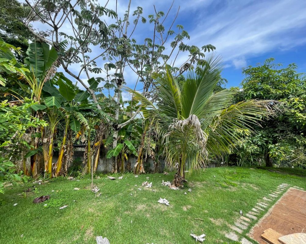 Lago Dourado (21)