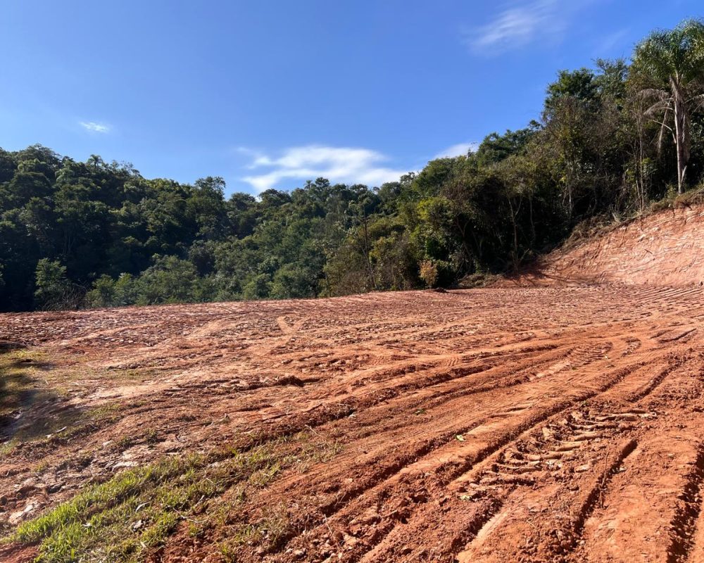 Lote Guararema (1)