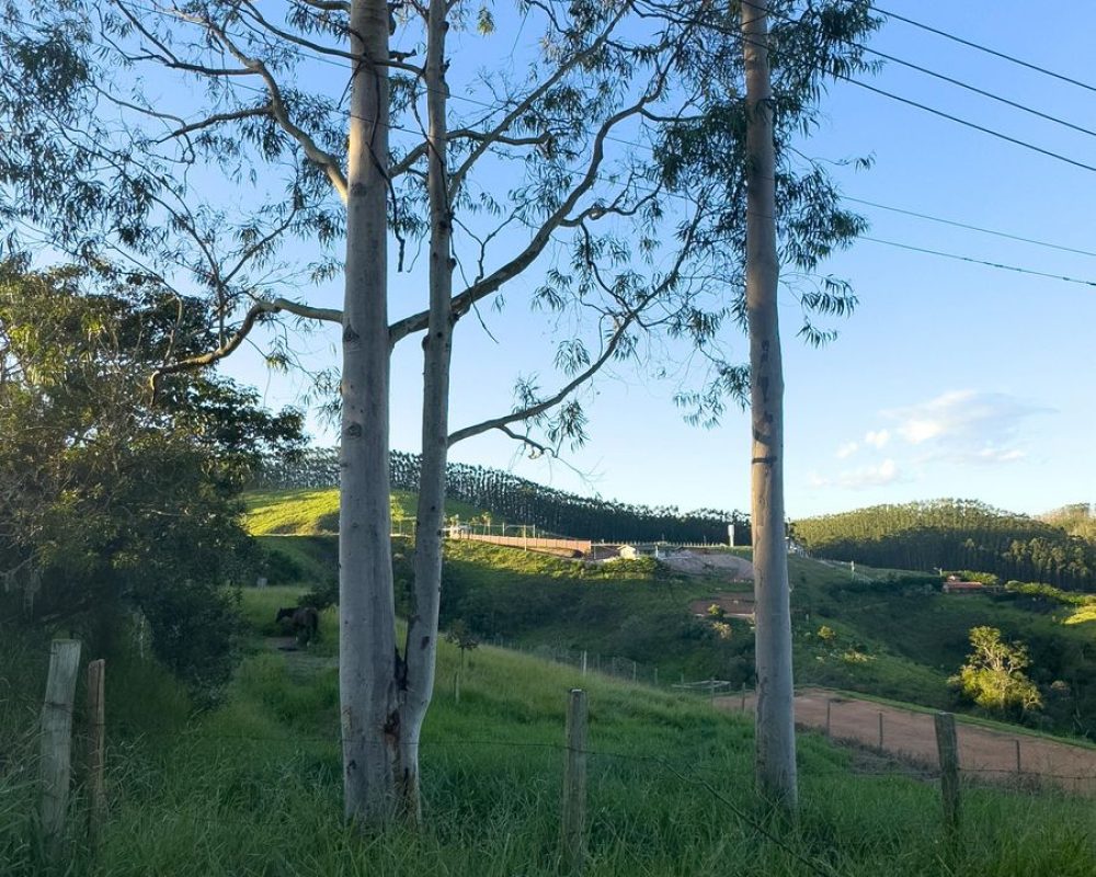 Lote no bairro Itaoca (1)