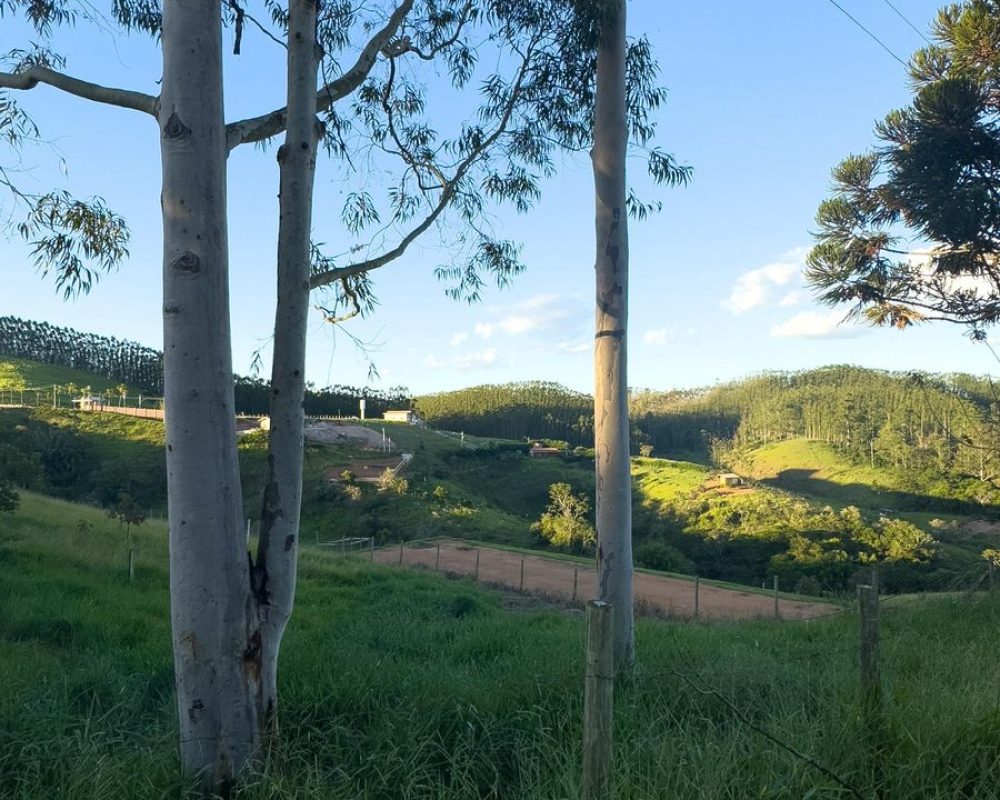 Lote no bairro Itaoca (4)
