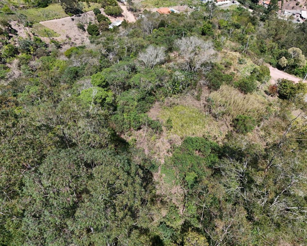 Terreno Santa Branca (1)