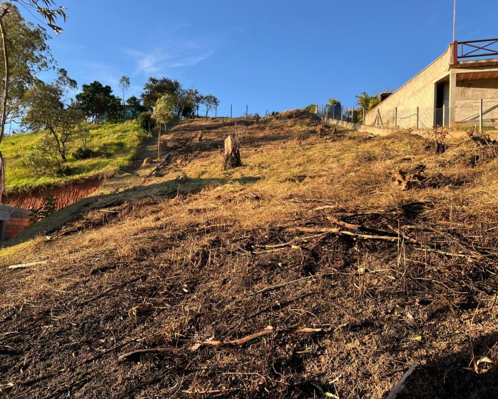 Terreno Santa Branca (4)