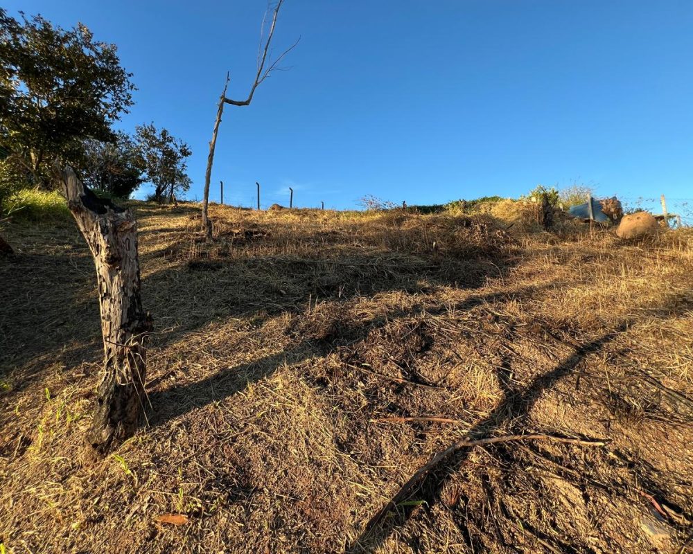 Terreno Santa Branca (6)