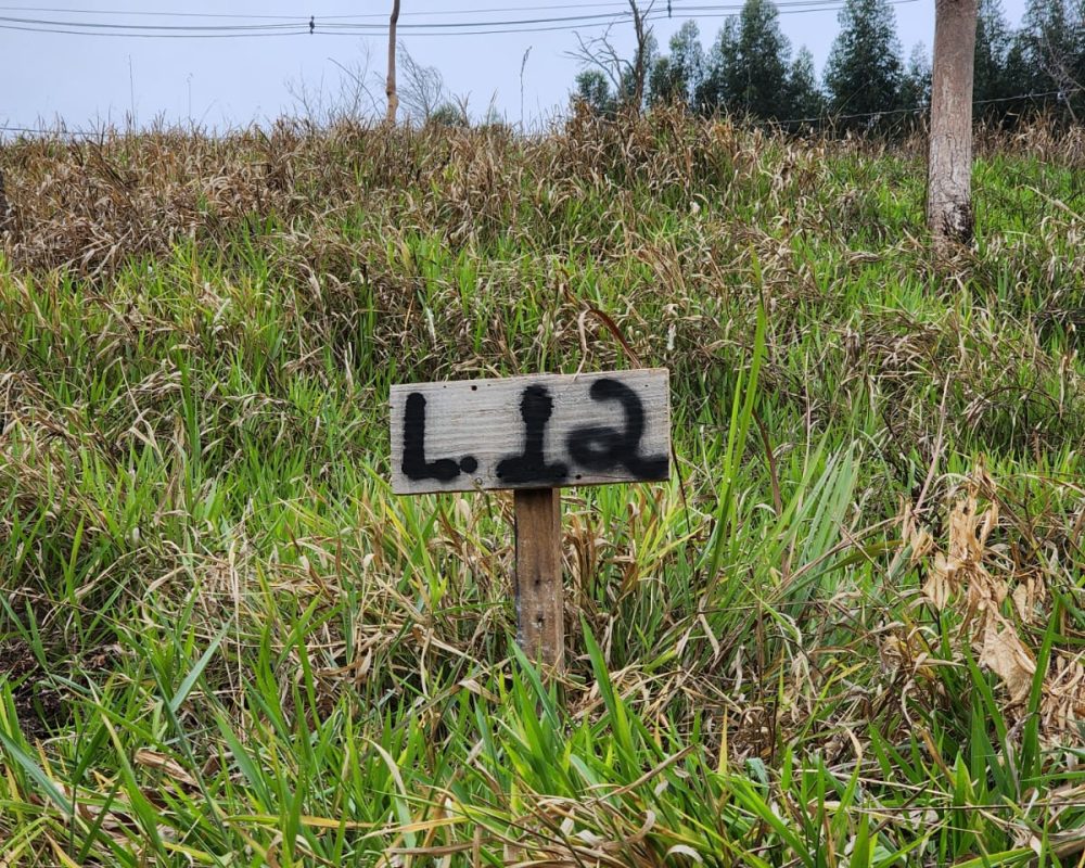 Terreno em Guararema (2)