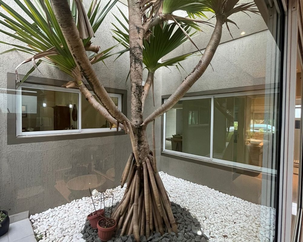 WhatsApp Image 2024-04-03 at 3.34.47 PM (2)