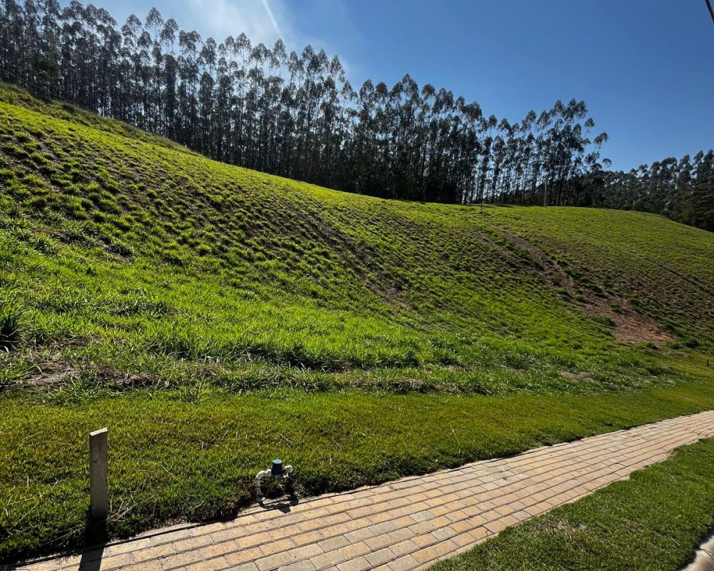 WhatsApp Image 2024-08-06 at 14.39.01