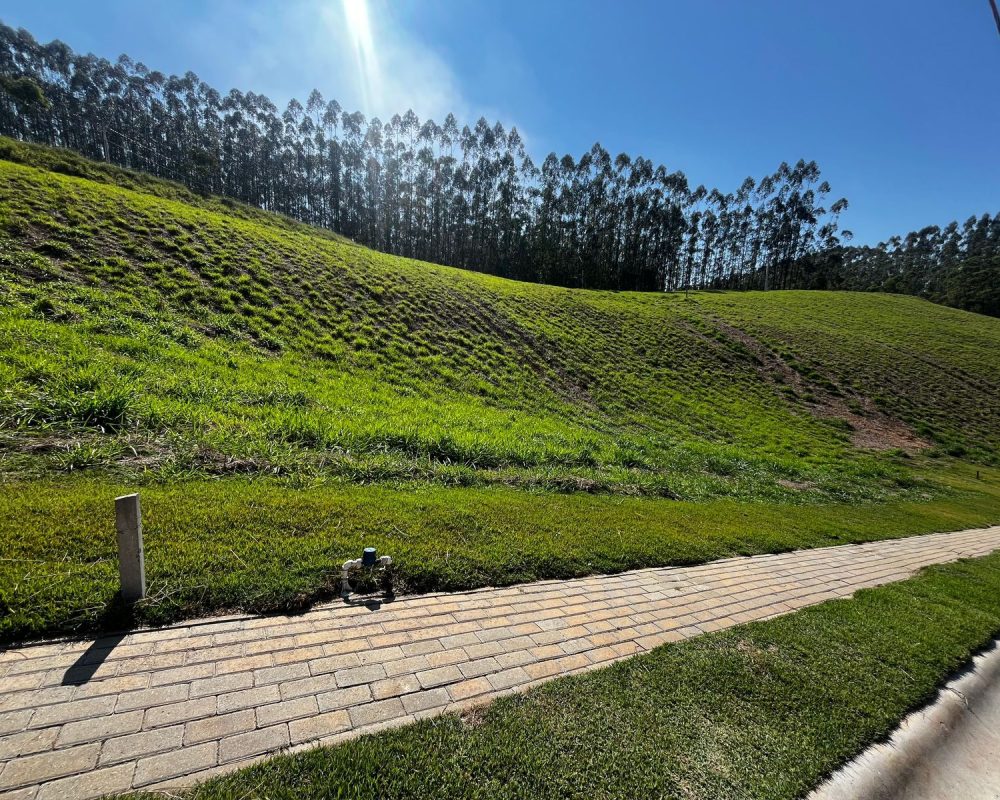 WhatsApp Image 2024-08-06 at 14.39.02