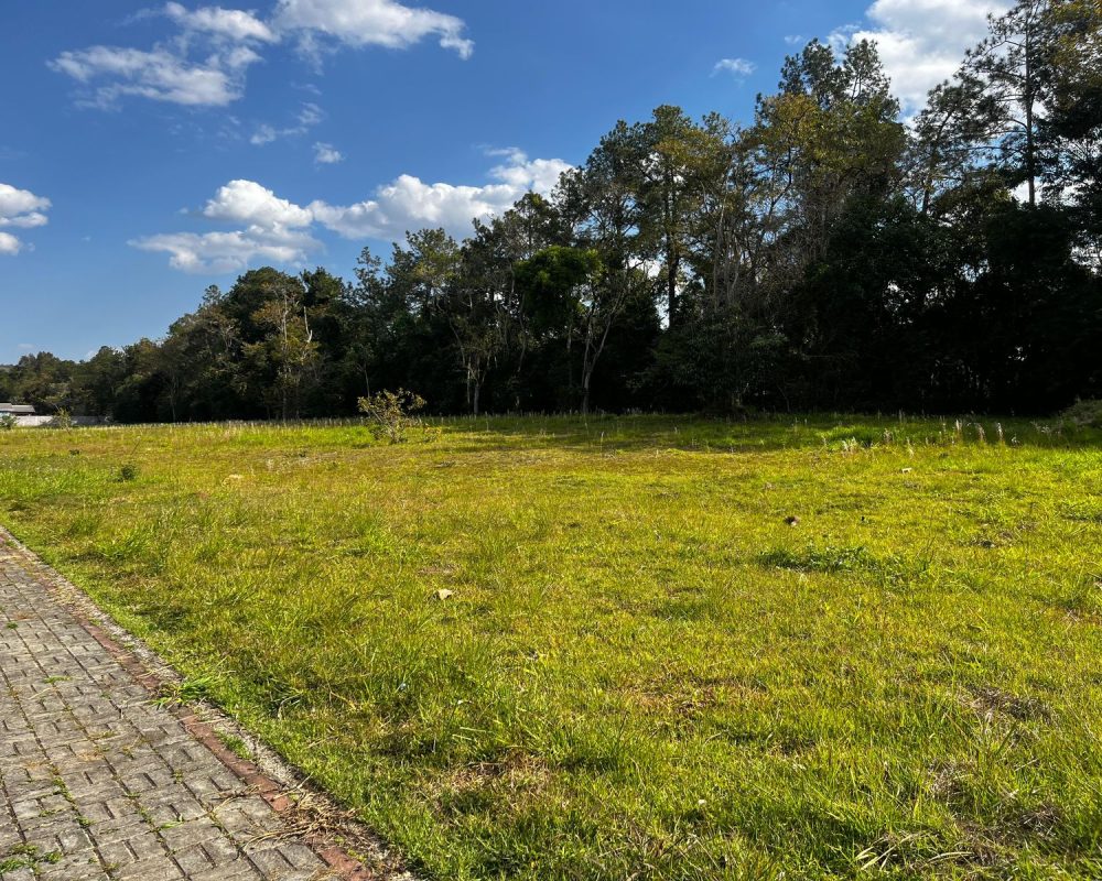 WhatsApp Image 2024-08-09 at 17.28.01 (1)