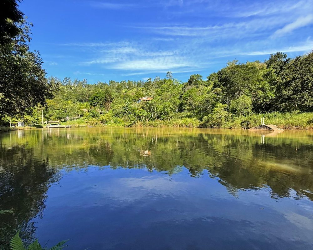 WhatsApp Image 2025-01-15 at 13.09.16 (2)