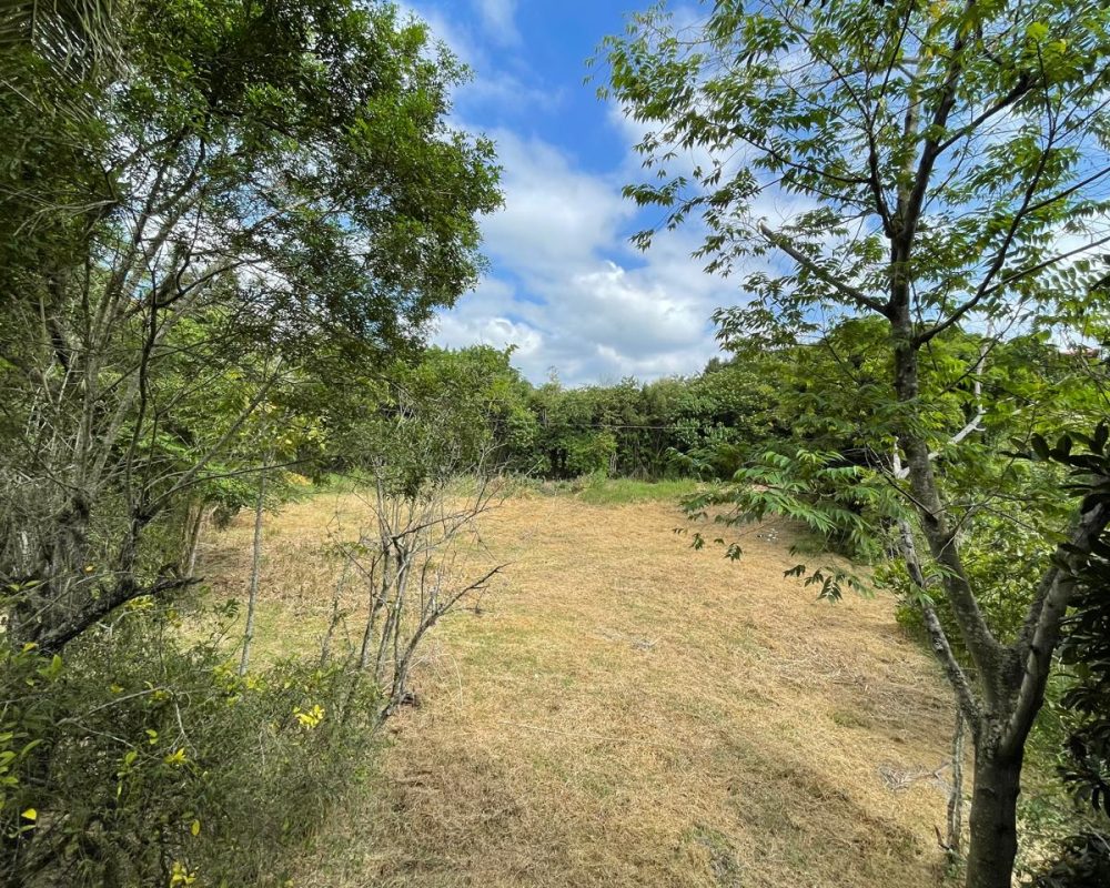 chácarasantabranca (1)