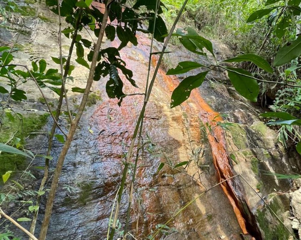 chácarasantabranca (2)