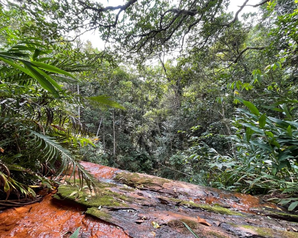 chácarasantabranca (4)