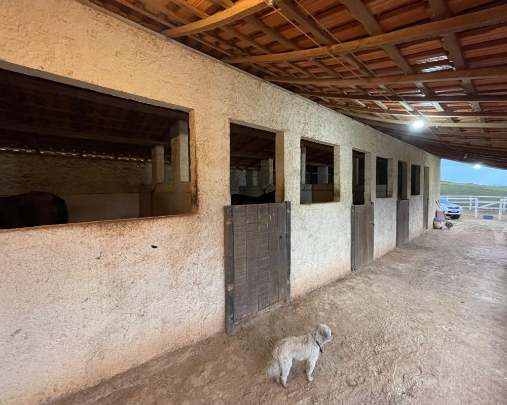 sítioemguararema (25)