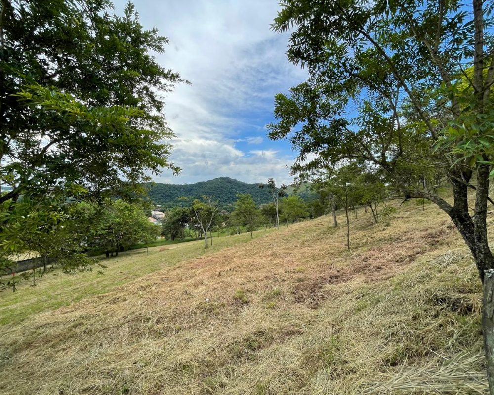 terrenos no centro de guararema (2)
