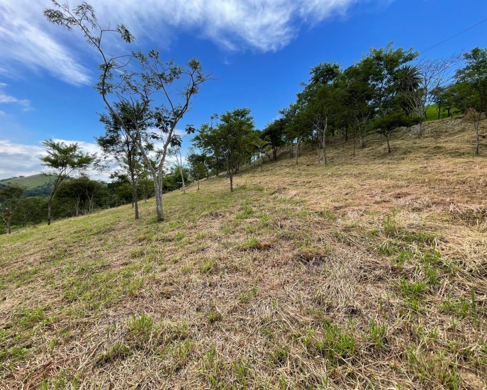 terrenos no centro de guararema (4)