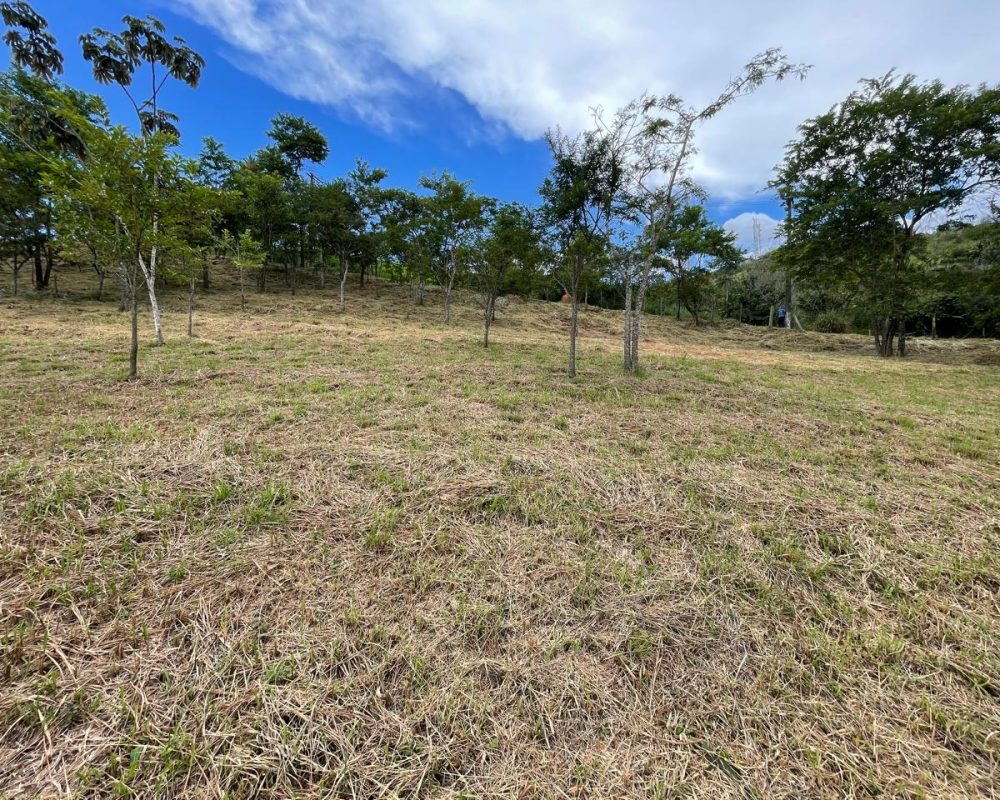 terrenos no centro de guararema (5)