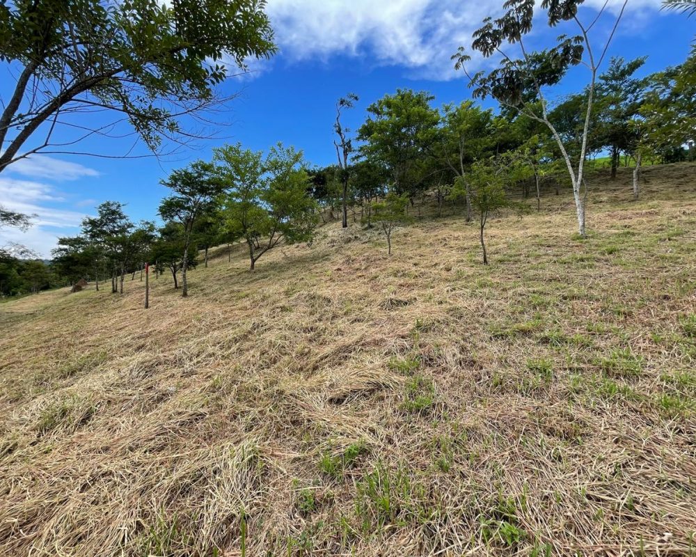 terrenos no centro de guararema (6)